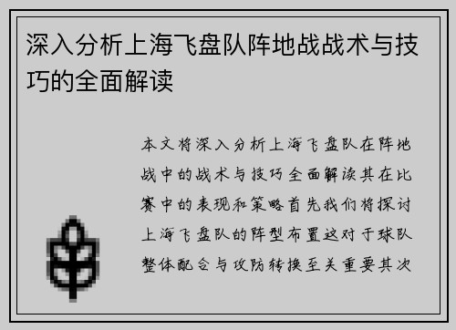 深入分析上海飞盘队阵地战战术与技巧的全面解读